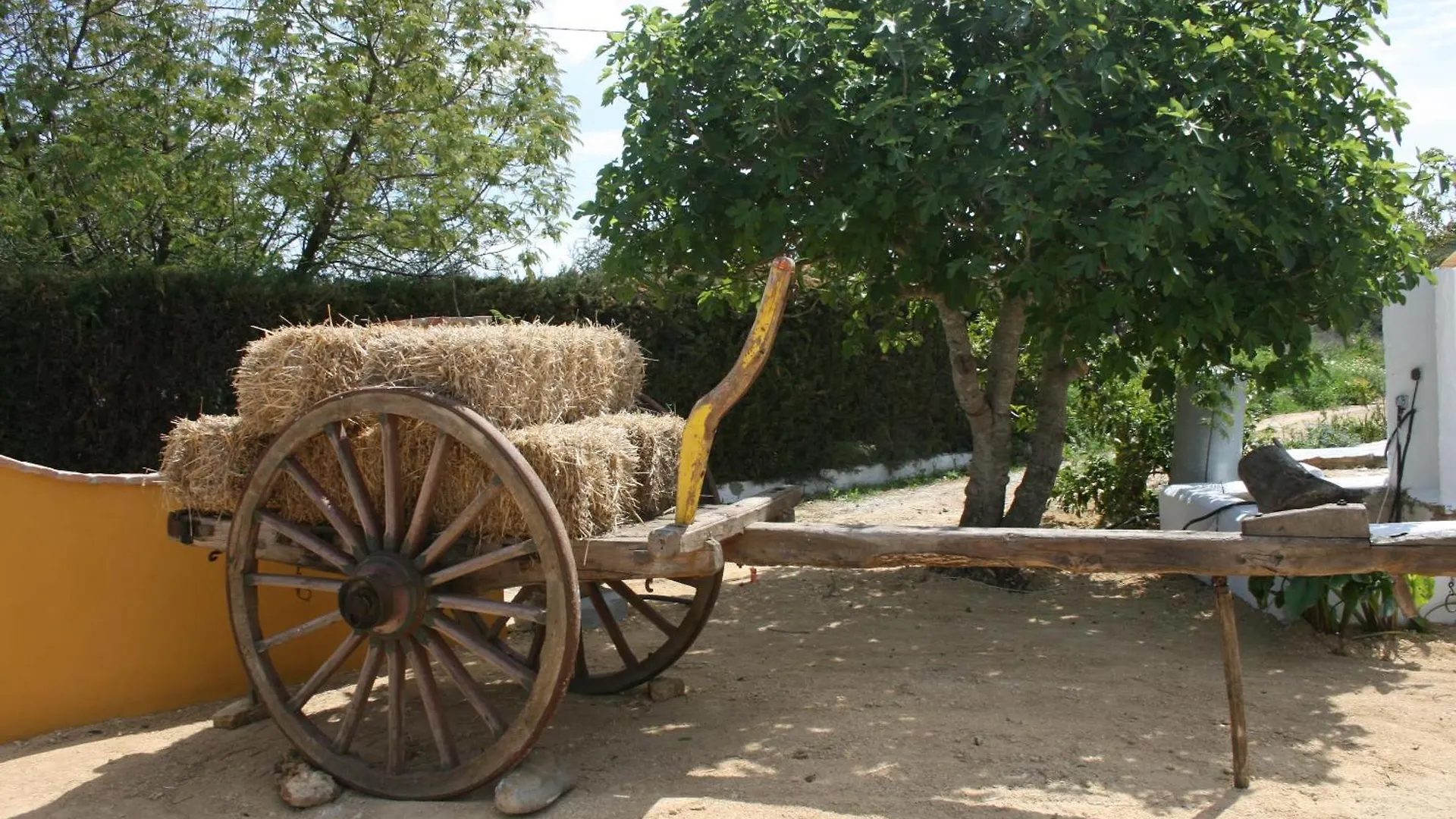 Hacienda Los Majadales Conil De La Frontera Country house